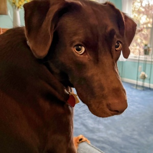 Fundraising Page: Douglas Harris